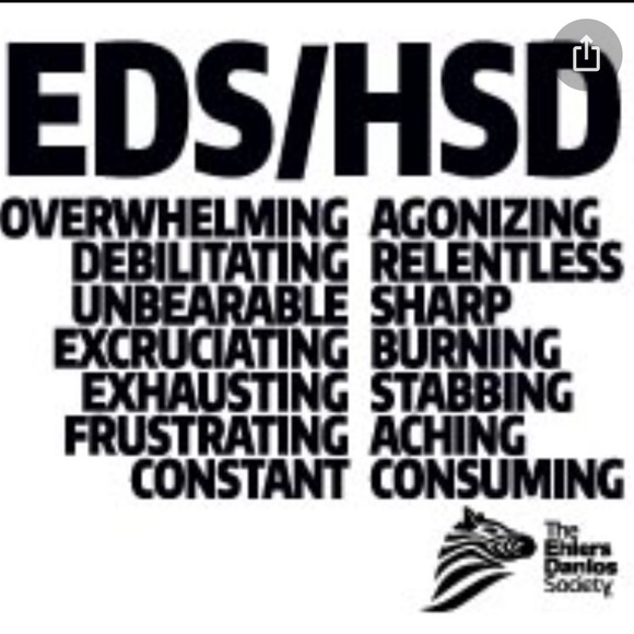 Scarlet (EHLERS-DANLOS &GRAVES.) I AM ZEBRA STRONG - Picture 1 of 7